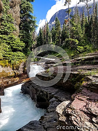 Reynolds Creek Falls rushes beside the Gunsight Pass Trail, Glacier National Park Stock Photo