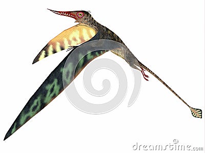 Rhamphorhynchus Jurassic Pterosaur Stock Photo