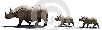 Rhino family isolated Stock Photo
