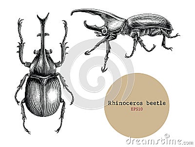 Rhinoceros beetle hand drawing vintage engraving illustration,Drawing design for tattoo Cartoon Illustration