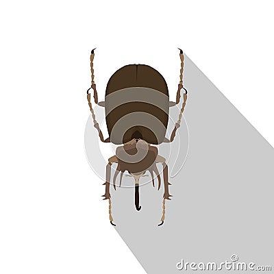 Rhinoceros beetle rhino vector. European Oryctes nasicornis Insects isolated on white background. Vector Illustration