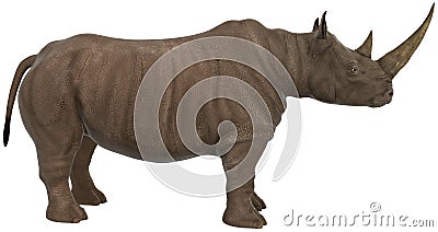 Rhinoceros, Rhino, Wildlife, Isolated, Illustration Cartoon Illustration