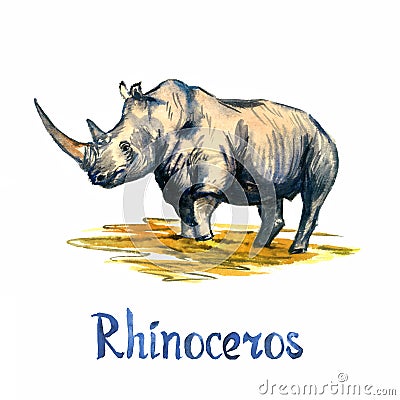 Rhinoceros standing side view, handpainted watercolor illustration isolated on white Cartoon Illustration