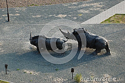 Rhinoceroses Stock Photo