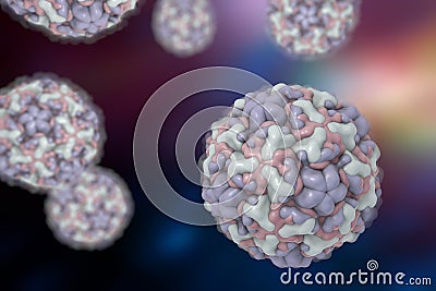 Rhinoviruses, viruses of common cold Stock Photo