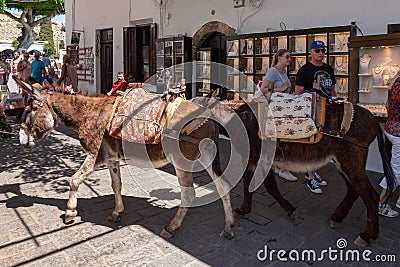 Donkey are waiting for tourists. Using donkey taxi to the Acropolis is a popular tourist attraction Editorial Stock Photo