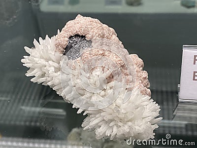 Rhodochrosite, quartz, galena, zinc blende or Rhodochrosit, Quarz, Bleiglanz, Zinkblende minerals and crystals in the exhibition Editorial Stock Photo