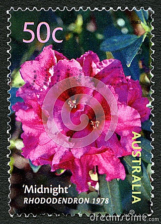 Rhododendron Australian Postage Stamp Editorial Stock Photo