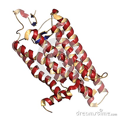 rhodopsin (visual purple) light perception protein, chemical structure. Biological pigment molecule present in the eye Stock Photo