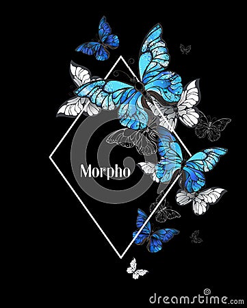 Rhombus butterfly morpho Vector Illustration