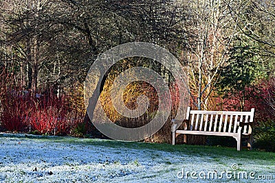 RHS Rosemoor Garden, Great Torrington, Devon Stock Photo