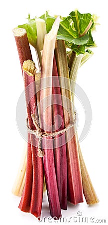 Rhubarb stalks. Stock Photo