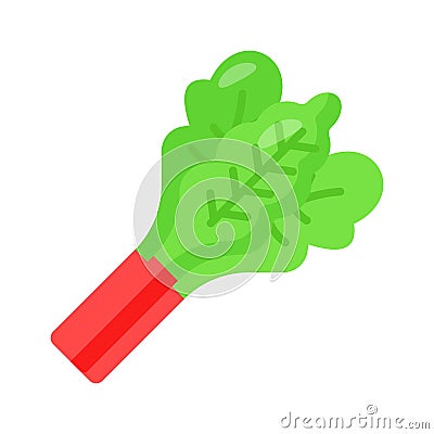 Rhubarb vector design, ready to use icon Vector Illustration