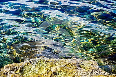 Rib on clear sea water, rocky seabed with rocks Stock Photo