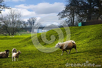 the Ribble Valley in Lancashire near Whalley Abbey Stock Photo