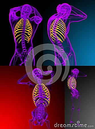 Ribcage Cartoon Illustration