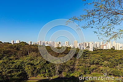 Ribeirao Preto city park, aka Curupira Park Stock Photo