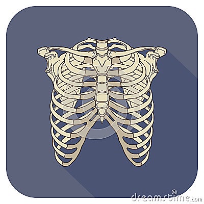 Ribs Flat Icon NavyBlue Stock Photo