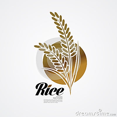 Premium Rice great quality design concept vector. Vector Illustration