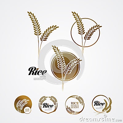 Premium Rice great quality design concept vector. Vector Illustration