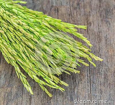 Rice bunch on wood background Stock Photo