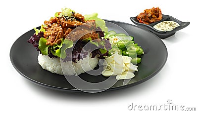 Rice Burger Bulgogi Pork Korean food style Stock Photo
