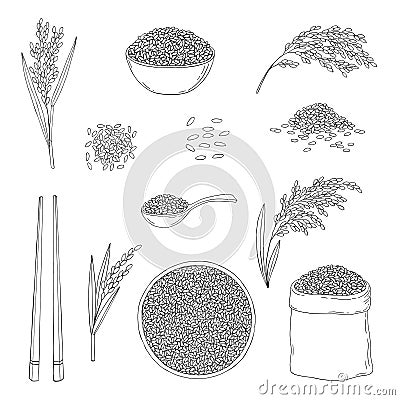 Rice. Cereal ears, grain in sack, chopsticks, wooden spoon, rice in bowl. Hand drawn vector sketch Vector Illustration