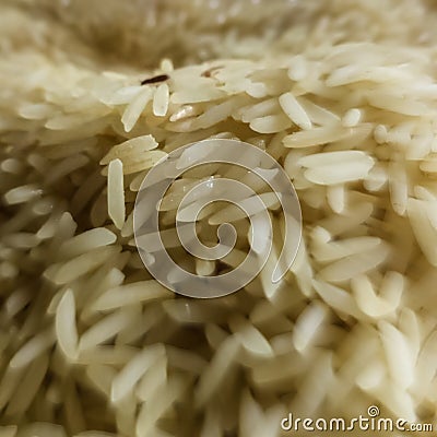 Rice close picture Stock Photo