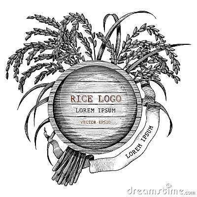 Rice concept logo hand draw vintage engraving style isolated on Vector Illustration