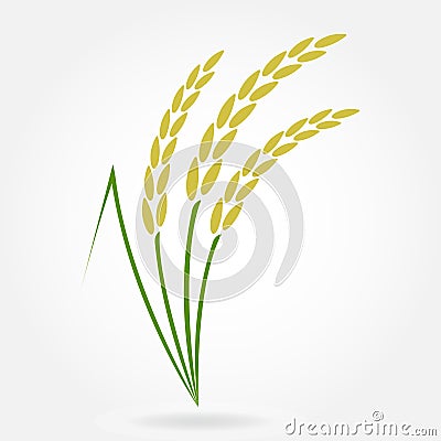 Rice. Crop symbol. Rice or Wheat ears design element. Agriculture grain. Colorful vector illustration. Vector Illustration