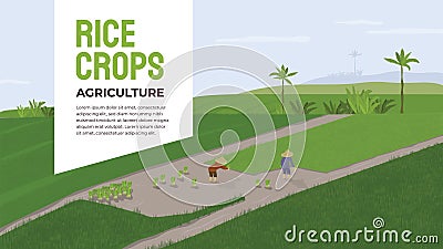 Rice crops agriculture template. Couple of people working in a paddy Vector Illustration