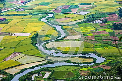 The rice field in BacSon - Vietnam Stock Photo