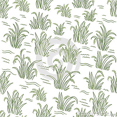 Rice field. Green grass. Seamless pattern. Wrapper background. Agriculture harvest. Cereal grain. Oryza sativa plant Vector Illustration