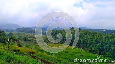 Rice field in highlands Stock Photo