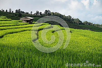 Rice field, Rural mountain view with beautiful landscape Stock Photo