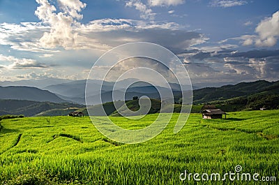 Rice field, Rural mountain view with beautiful landscape Stock Photo