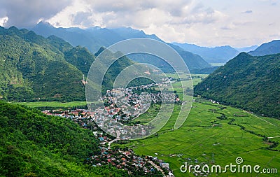 Rice field at summer in Northern, Vietnam Stock Photo