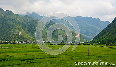 Rice field at summer in Northern, Vietnam Stock Photo