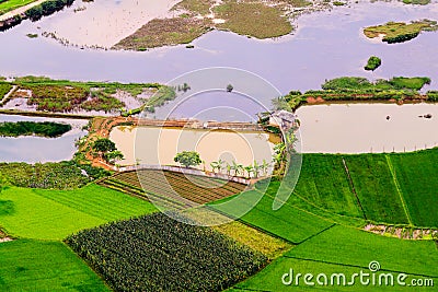 Rice field terraces Stock Photo