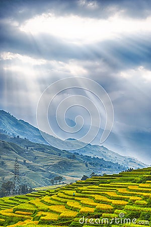 Rice field terraces with gorgeous blue sky Stock Photo