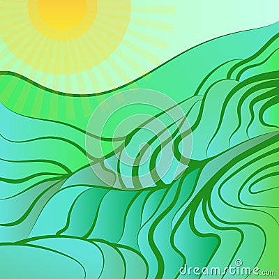 Rice field vector illustration Vector Illustration