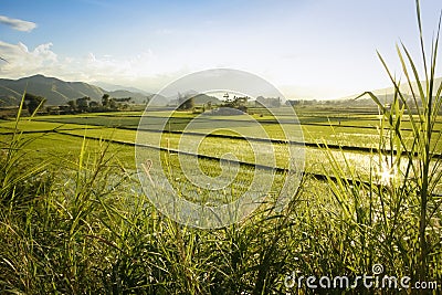 Rice fields northern luzon the philippines Stock Photo