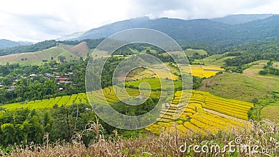 Rice fields terrace on mountain, chaing mai, thailand Stock Photo