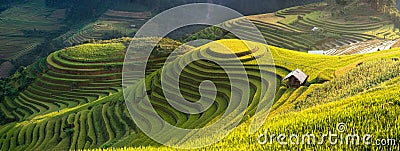 Rice fields on terraced of Mu Cang Chai, YenBai, Vietnam. Stock Photo