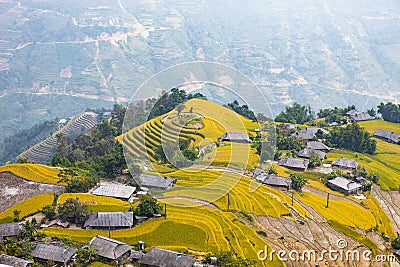 Rice fields on terraced. Fields are prepared for planting rice. Ban Phung. Ha Giang. Huyen Hoang Su Phi. Northern Vietnam Stock Photo