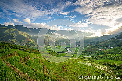 Rice fields on terraced in rainny season at SAPA, Lao Cai, Vietnam. Stock Photo
