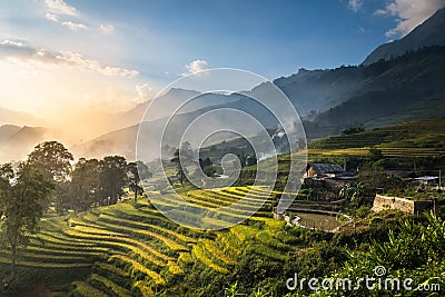 Rice fields on terraced in sunset at Sapa, Lao Cai, Vietnam. Stock Photo