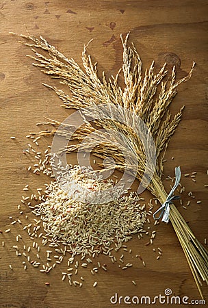 Rice grain Stock Photo