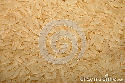 Rice grains Stock Photo