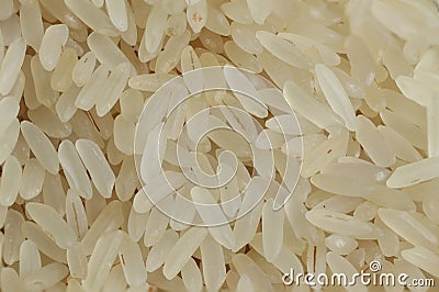 Rice grains. Stock Photo